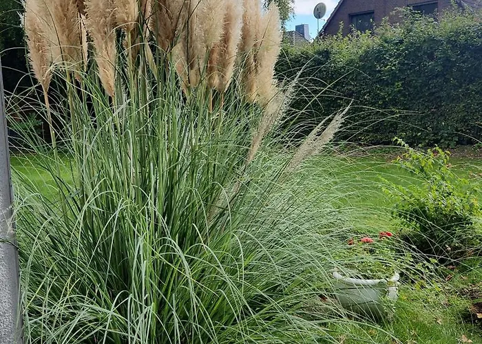 Moderne Wohnug Mit Terrasse 아파트 *